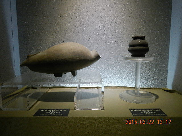 DSCN6786.JPG