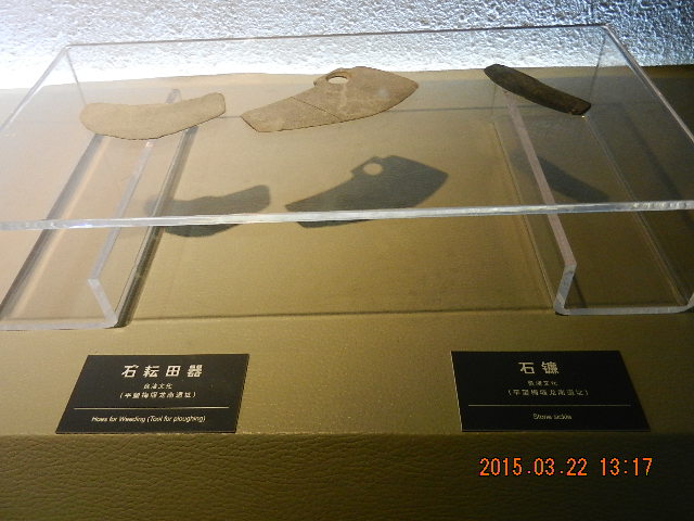 DSCN6788.JPG