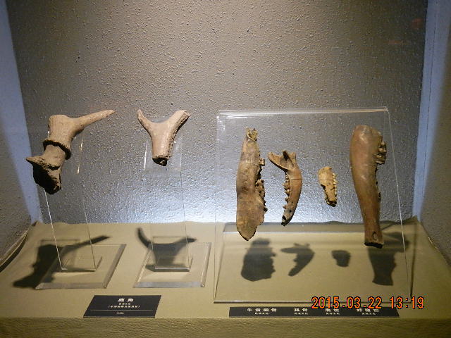 DSCN6794.JPG