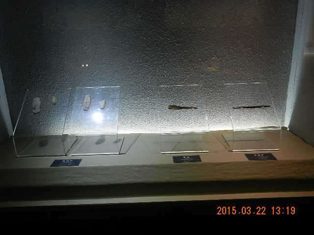 DSCN6795.JPG