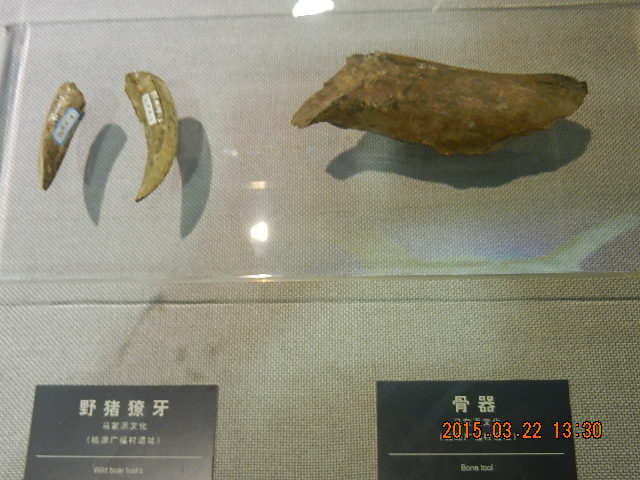 DSCN6835.JPG