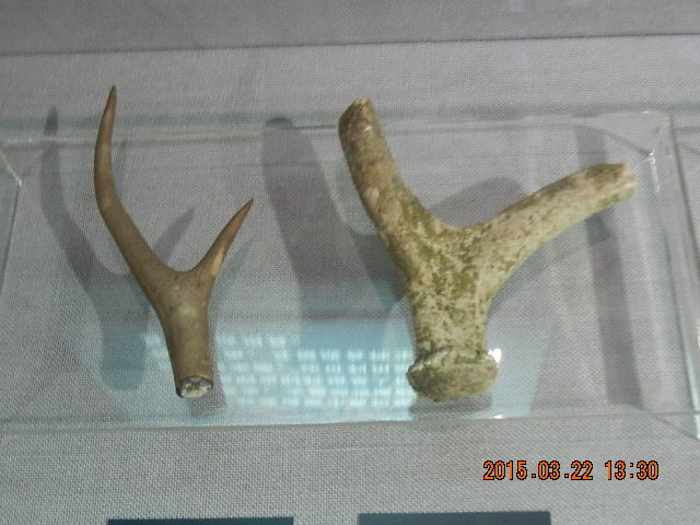 DSCN6836.JPG