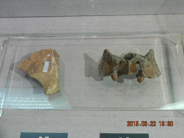DSCN6837.JPG