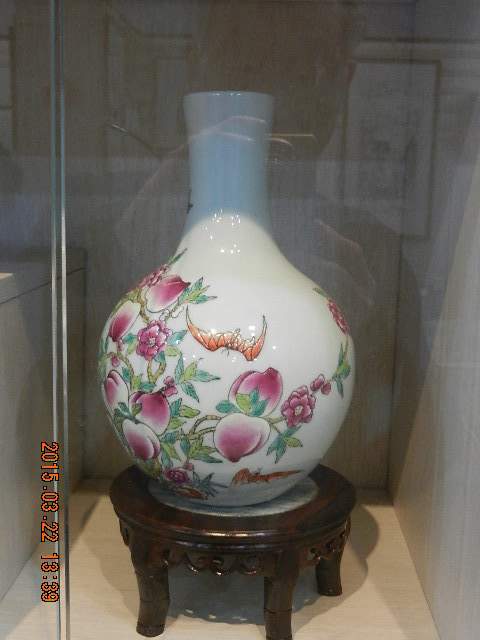 DSCN6863.JPG