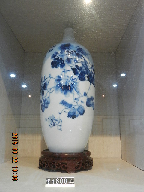 DSCN6865.JPG
