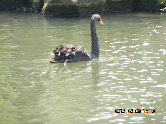 DSCN7262.JPG