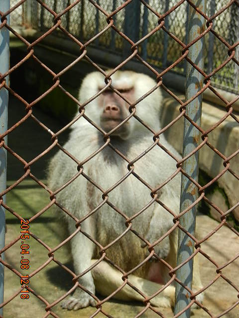 DSCN7273.JPG