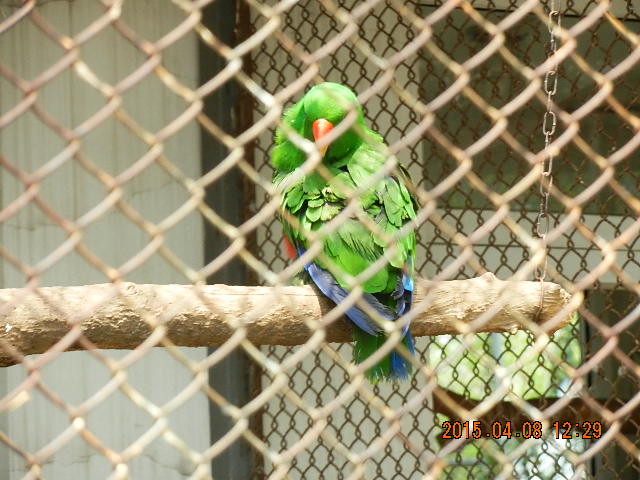 DSCN7300.JPG