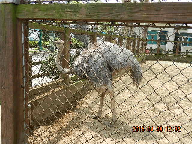 DSCN7308.JPG