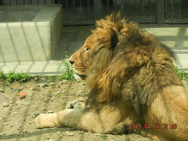DSCN7334.JPG