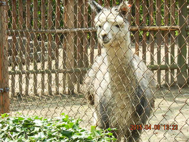 DSCN7376.JPG