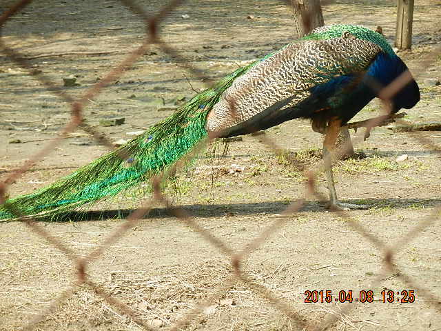 DSCN7381.JPG