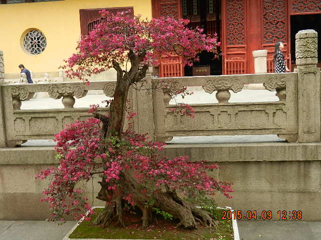 DSCN7639.JPG