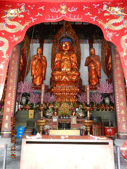DSCN7643.JPG