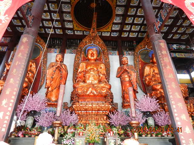 DSCN7644.JPG