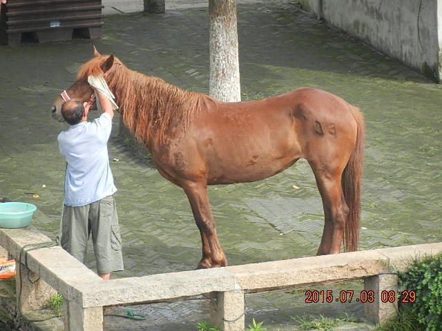 DSCN8825.JPG