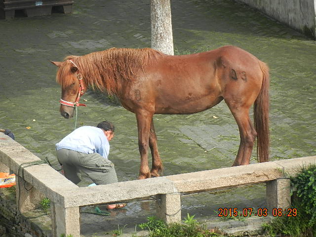 DSCN8826.JPG