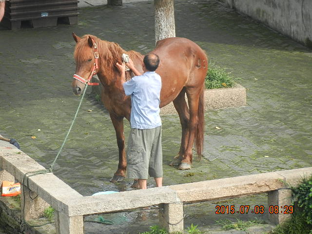DSCN8828.JPG