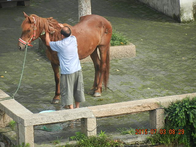 DSCN8827.JPG