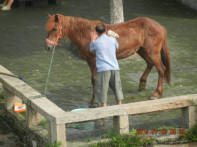 DSCN8830.JPG