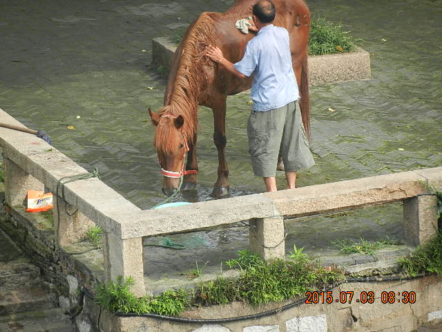 DSCN8829.JPG