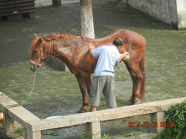 DSCN8832.JPG