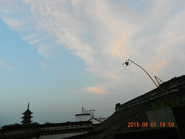 DSCN8960.JPG