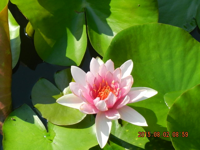 DSCN8986.JPG