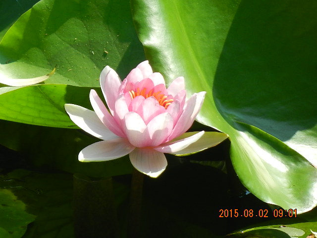 DSCN8993.JPG