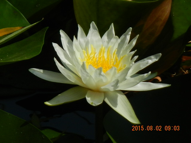 DSCN8998.JPG