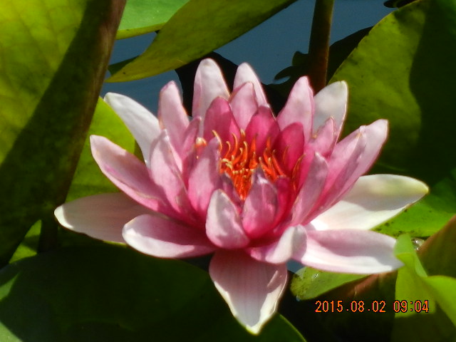 DSCN9001.JPG