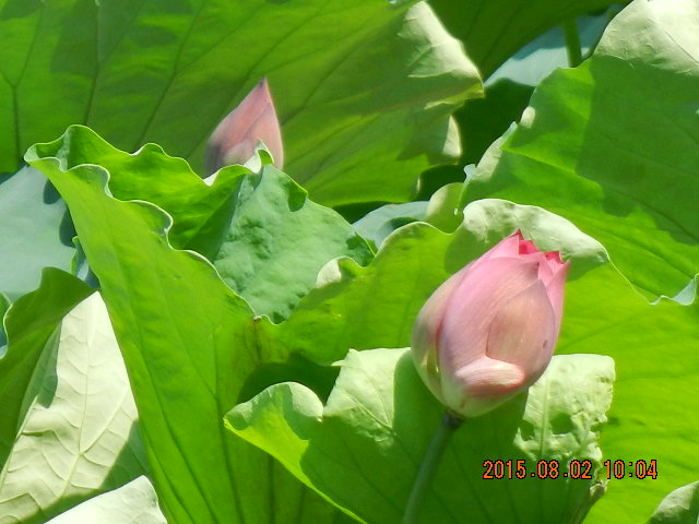 DSCN9013.JPG