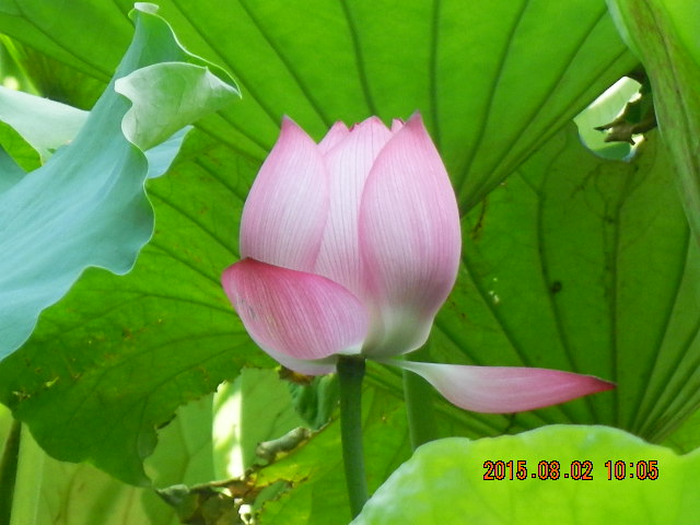 DSCN9016.JPG