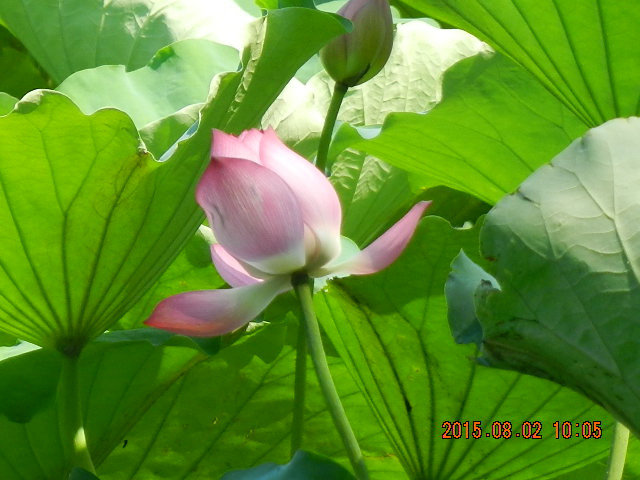 DSCN9015.JPG