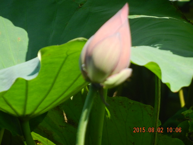 DSCN9020.JPG