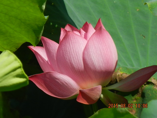 DSCN9018.JPG