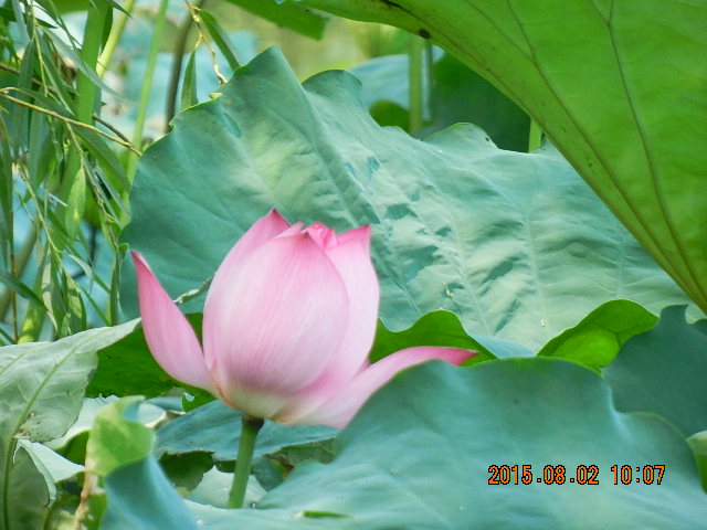 DSCN9027.JPG