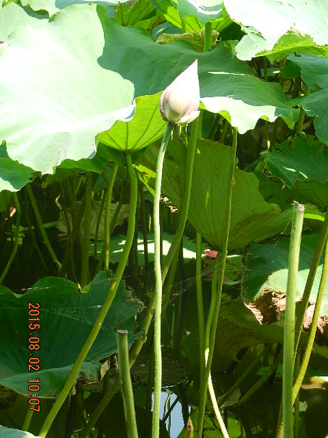 DSCN9025.JPG