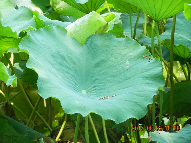 DSCN9028.JPG