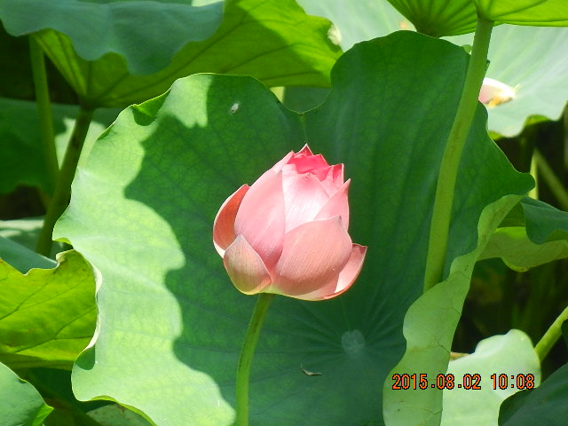 DSCN9029.JPG