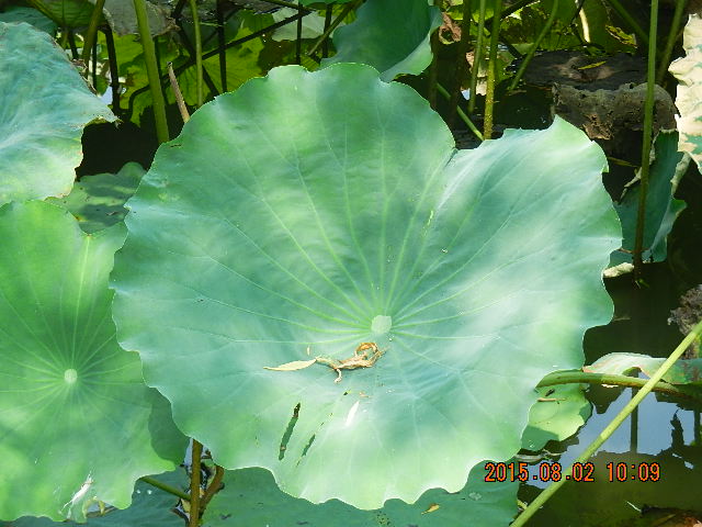 DSCN9032.JPG