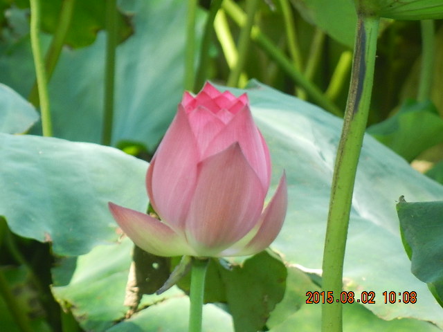 DSCN9030.JPG