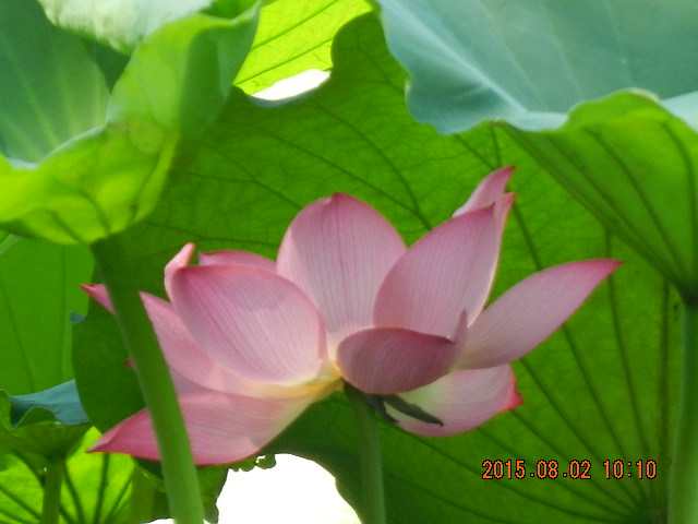 DSCN9037.JPG