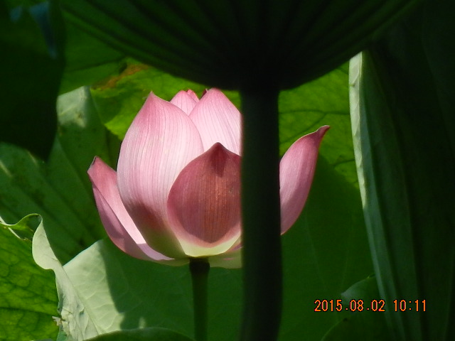 DSCN9039.JPG