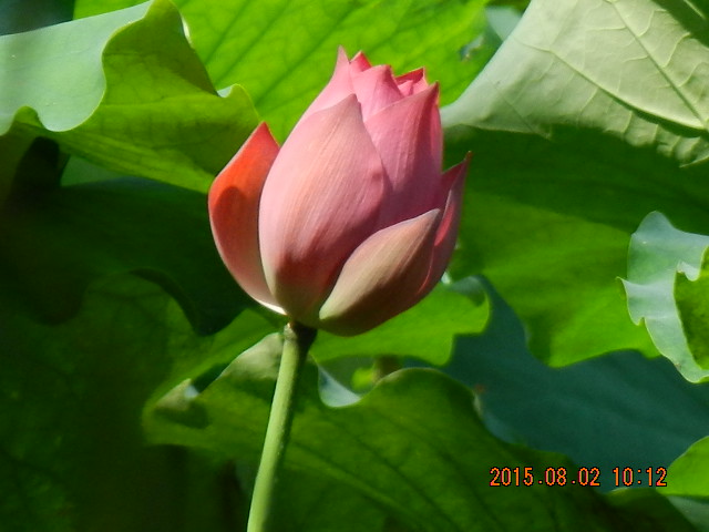 DSCN9041.JPG