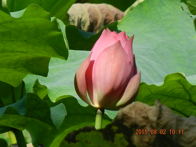 DSCN9040.JPG