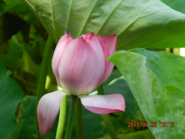 DSCN9043.JPG