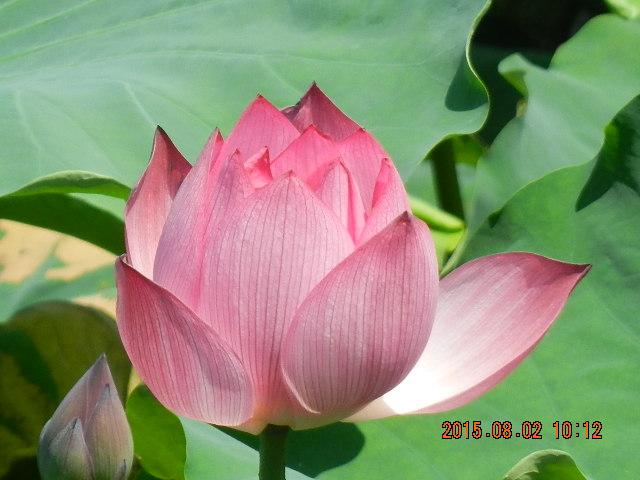 DSCN9044.JPG
