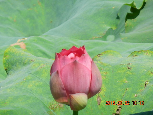 DSCN9048.JPG