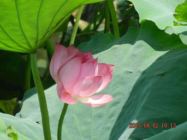 DSCN9047.JPG